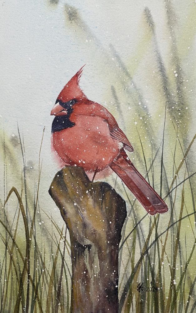 Cardinal in Early Snow: #1